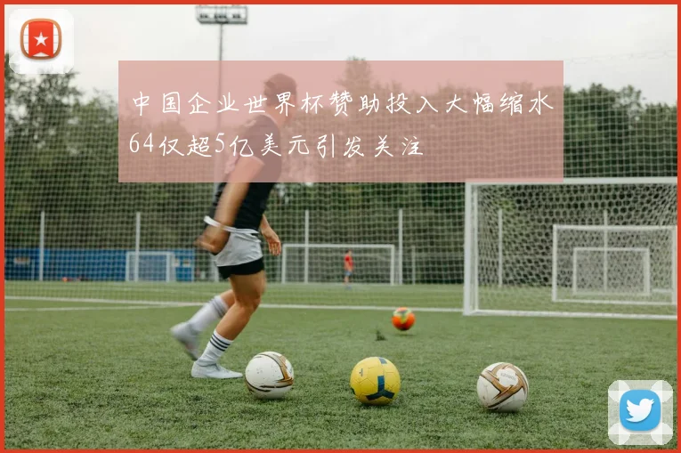 中国企业世界杯赞助投入大幅缩水64仅超5亿美元引发关注