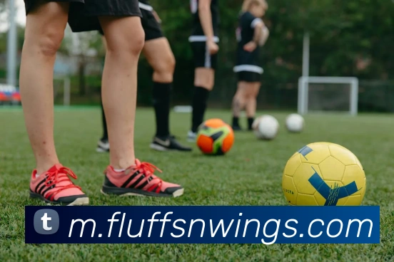 赛事专题整合